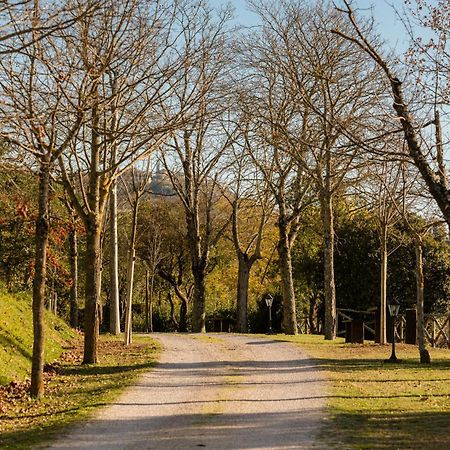 Agriturismo Le Cerque Collazzone Ngoại thất bức ảnh