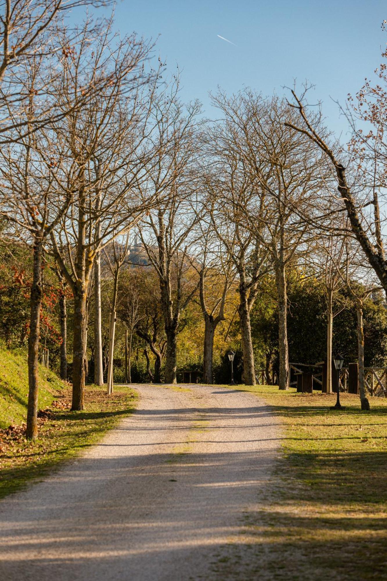 Agriturismo Le Cerque Collazzone Ngoại thất bức ảnh