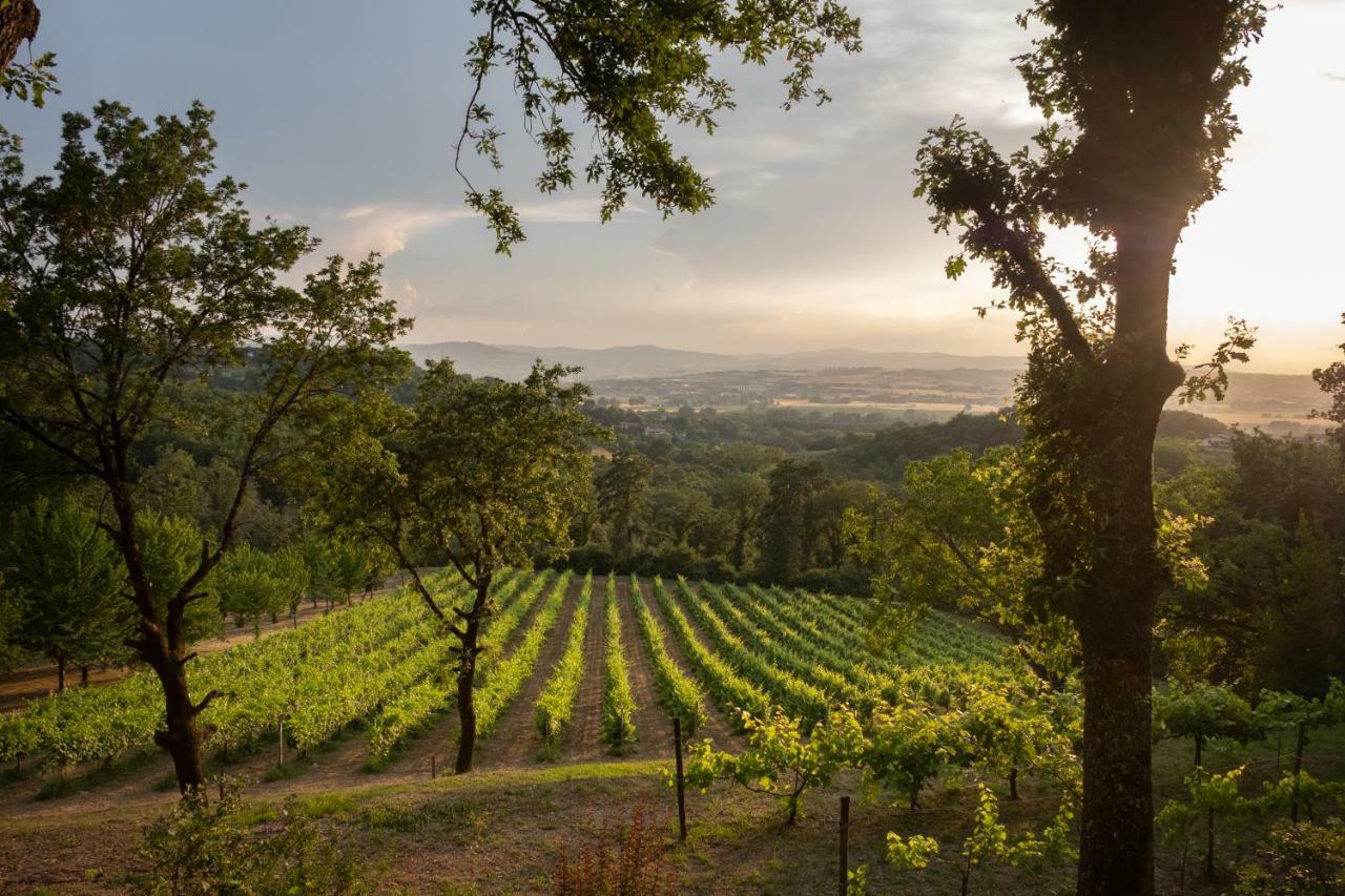 Agriturismo Le Cerque Collazzone Ngoại thất bức ảnh